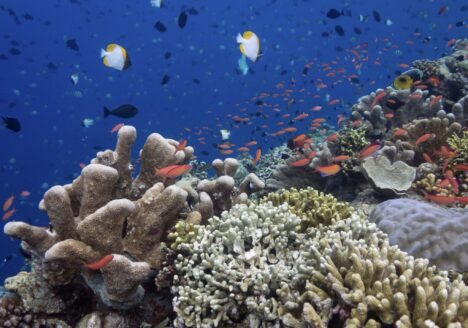 underwater_water_sounds_sound_effects_inspiration_making_of_howto-